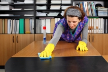Who Should I Hire To Clean My Windows?